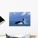 Humpback Whale Calf Frolics Wall Decal