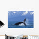 Humpback Whale Calf Frolics Wall Decal