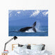 Humpback Whale Calf Frolics Wall Decal