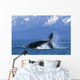 Humpback Whale Calf Frolics Wall Decal