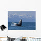 Humpback Whale Calf Breaching Wall Decal