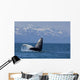 Humpback Whale Calf Breaching Wall Decal
