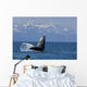 Humpback Whale Calf Breaching Wall Decal