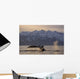 Humpback Whale Lifting Its Wall Decal Design 3