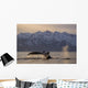 Humpback Whale Lifting Its Wall Decal Design 3