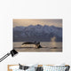Humpback Whale Lifting Its Wall Decal Design 3
