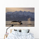Humpback Whale Lifting Its Wall Decal Design 3