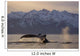Humpback Whale Lifting Its Wall Decal Design 3
