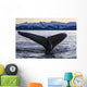 Humpback Whale Lifting Its Wall Decal Design 2