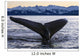 Humpback Whale Lifting Its Wall Decal Design 2