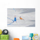 ski race Wall Mural