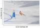 ski race Wall Mural