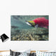 Underwater Male Sockeye Salmon Wall Decal Design 2