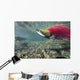 Underwater Male Sockeye Salmon Wall Decal Design 2