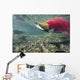 Underwater Male Sockeye Salmon Wall Decal Design 2