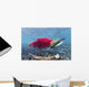 Underwater Male Sockeye Salmon Wall Decal Design 1