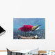 Underwater Male Sockeye Salmon Wall Decal Design 1