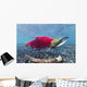Underwater Male Sockeye Salmon Wall Decal Design 1