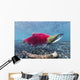 Underwater Male Sockeye Salmon Wall Decal Design 1