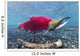 Underwater Male Sockeye Salmon Wall Decal Design 1
