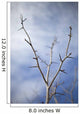 Tree with Buds Springtime Wall Decal