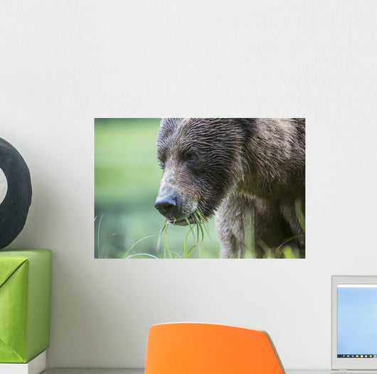 Grizzly Bear Wall Decal Design 3