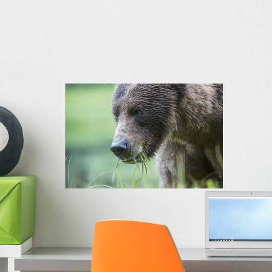 Grizzly Bear Wall Decal Design 3