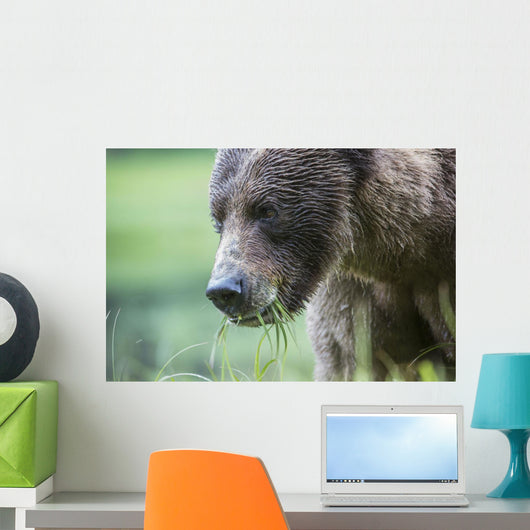 Grizzly Bear Wall Decal Design 3