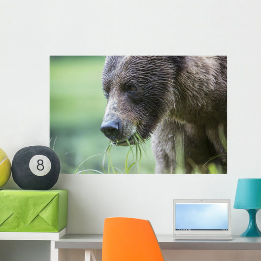 Grizzly Bear Wall Decal Design 3