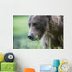 Grizzly Bear Wall Decal Design 3