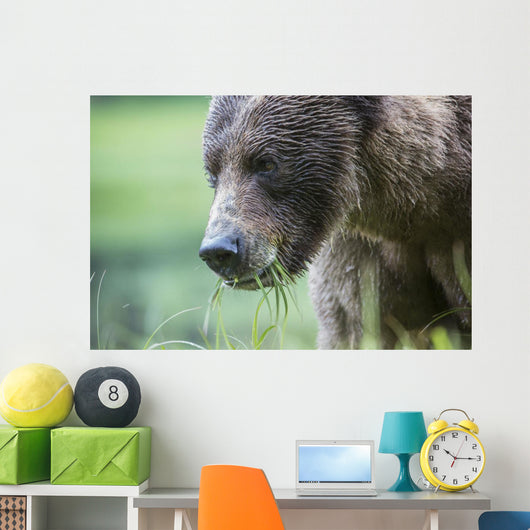 Grizzly Bear Wall Decal Design 3