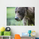 Grizzly Bear Wall Decal Design 3