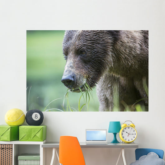 Grizzly Bear Wall Decal Design 3