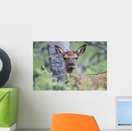 Young Elk Wall Decal