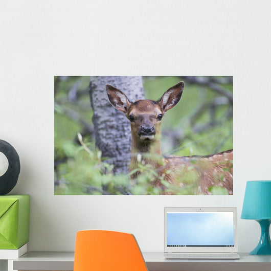 Young Elk Wall Decal