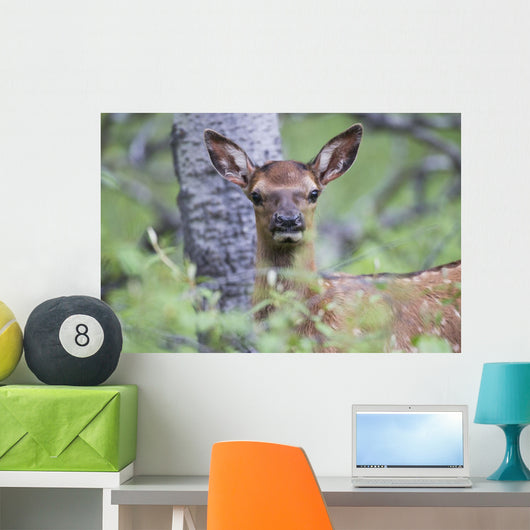 Young Elk Wall Decal