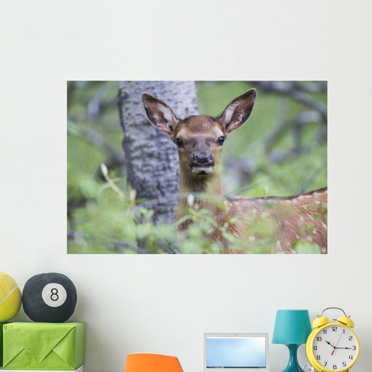 Young Elk Wall Decal