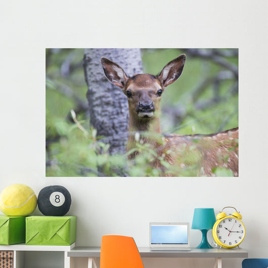 Young Elk Wall Decal