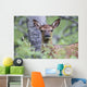 Young Elk Wall Decal