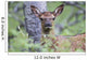 Young Elk Wall Decal