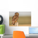 Short Eared Owl Sitting Wall Decal