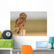 Short Eared Owl Sitting Wall Decal