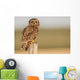 Short Eared Owl Sitting Wall Decal