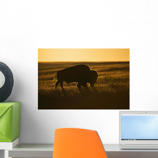 Silhouette Bison Sunset Grasslands Wall Decal Design 2
