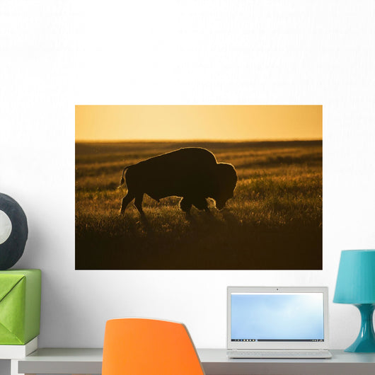 Silhouette Bison Sunset Grasslands Wall Decal Design 2