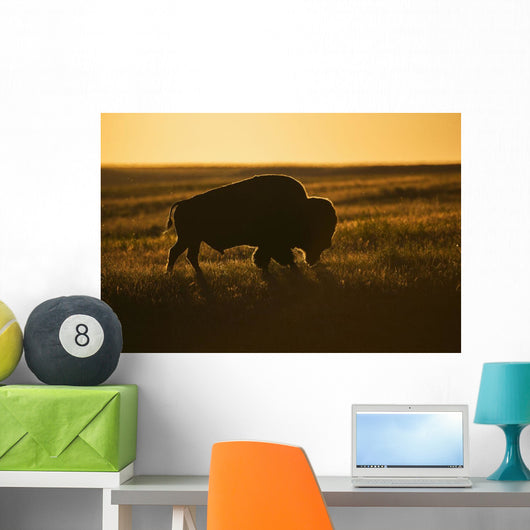 Silhouette Bison Sunset Grasslands Wall Decal Design 2