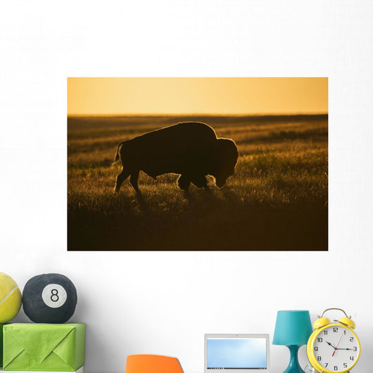 Silhouette Bison Sunset Grasslands Wall Decal Design 2