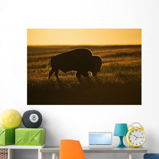 Silhouette Bison Sunset Grasslands Wall Decal Design 2