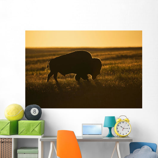 Silhouette Bison Sunset Grasslands Wall Decal Design 2