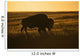 Silhouette Bison Sunset Grasslands Wall Decal Design 2